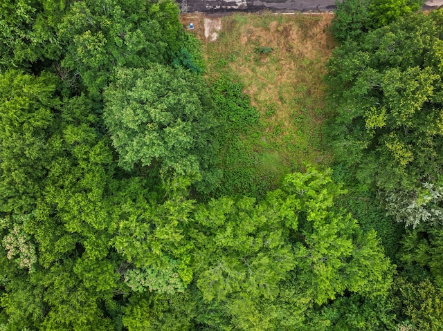 436 Grady, Mount Vernon, TX 75457
