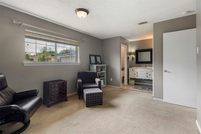 2011 Sandy Trl, Richardson, TX 75080 - sitting room featuring carpet flooring, a textured ceiling, and baseboards