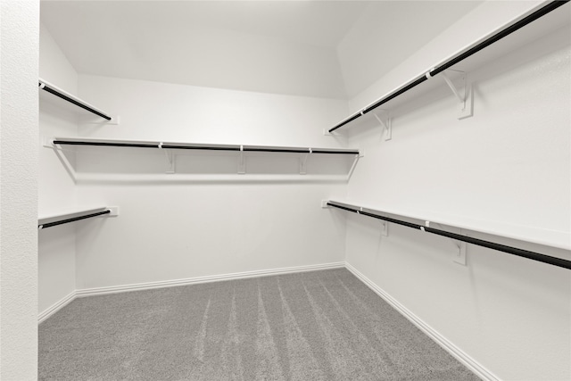 713 Roanoke, Princeton, TX 75407 - walk in closet featuring carpet floors