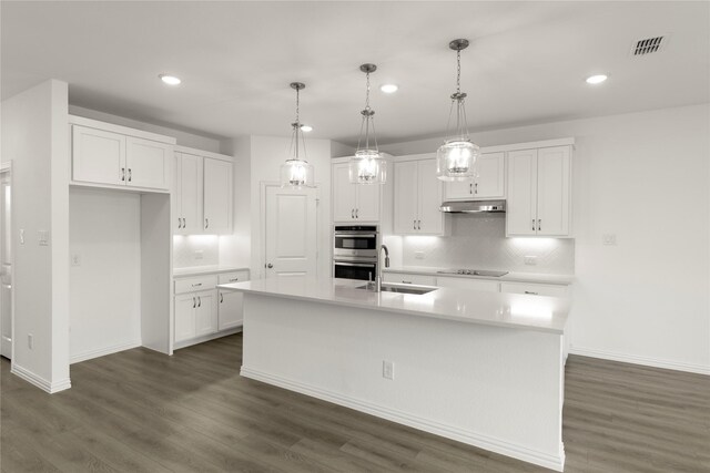 713 Roanoke, Princeton, TX 75407 - kitchen with under cabinet range hood, black electric stovetop, double oven, recessed lighting, and dark wood-style floors