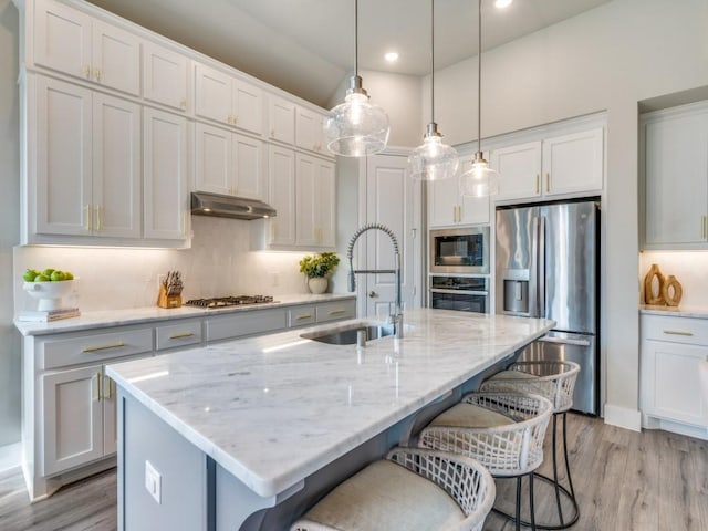 2724 Eccleston St, Celina, TX 75009 - kitchen with stainless steel appliances, a sink, under cabinet range hood, light wood-style floors, and recessed lighting