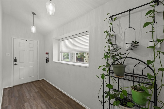 1521 Cherokee Rose Trl, Savannah, TX 76227 - entryway featuring wood finished floors, baseboards, and lofted ceiling