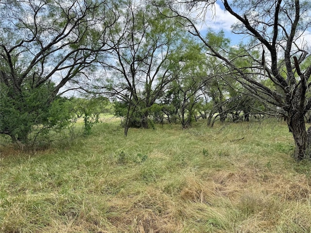 170 Brazos W Dr, Mineral Wells, TX 76067