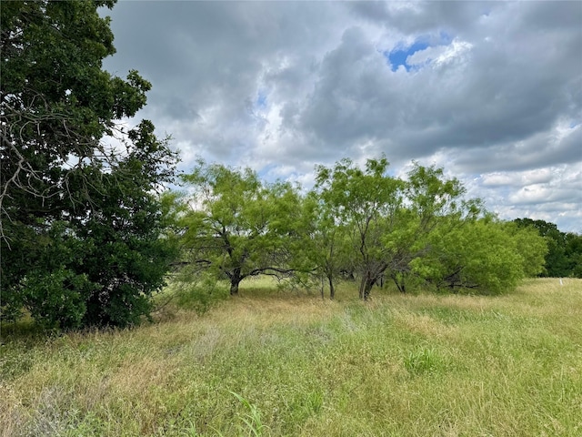 170 Brazos W Dr, Mineral Wells, TX 76067