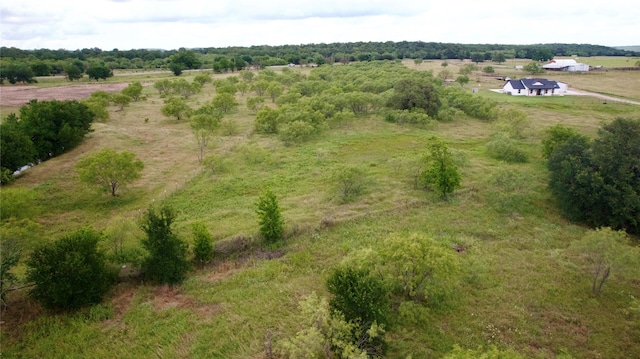 170 Brazos W Dr, Mineral Wells, TX 76067