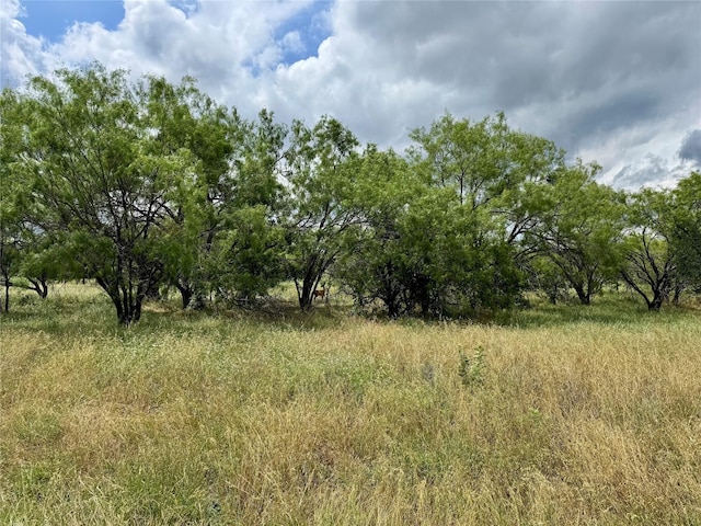 170 Brazos W Dr, Mineral Wells, TX 76067