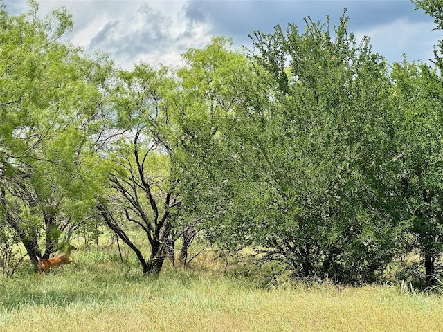 170 Brazos W Dr, Mineral Wells, TX 76067