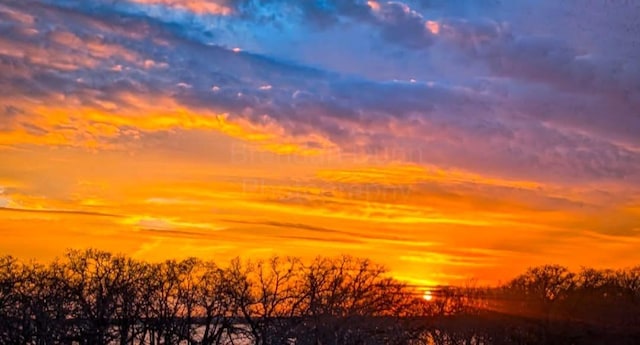 347 Pine Rd, Nocona, TX 76255
