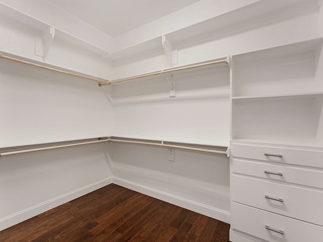1025 Arches Park Dr, Allen, TX 75013 - walk in closet with dark wood-type flooring