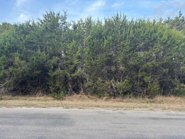 TBD County Road 1709, Clifton, TX 76634