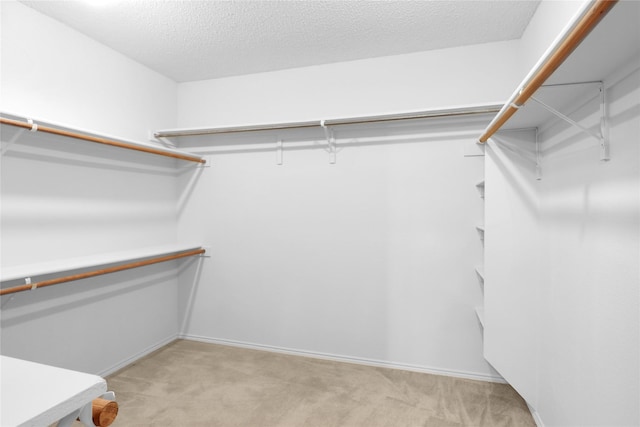 8300 Southern Prairie Dr, Fort Worth, TX 76123 - spacious closet with light colored carpet