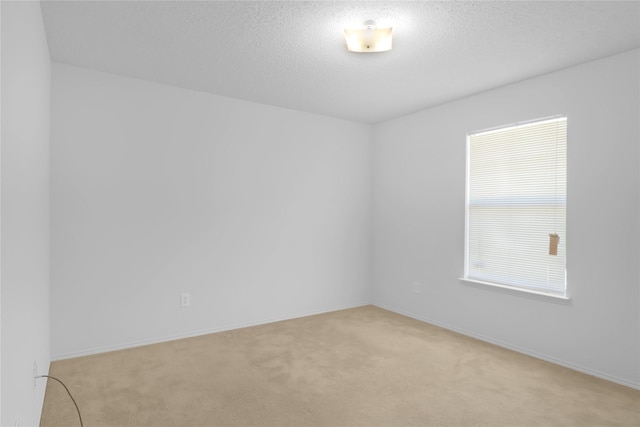 8300 Southern Prairie Dr, Fort Worth, TX 76123 - empty room featuring light carpet, baseboards, and a textured ceiling
