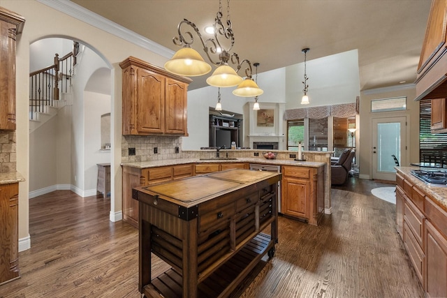 1205 Platte Dr, Mansfield, TX 76063 - kitchen featuring arched walkways, a sink, dark wood-style flooring, a peninsula, and open floor plan