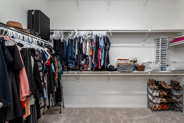 3400 Eisenhower Ave, Melissa, TX 75454 - spacious closet with carpet