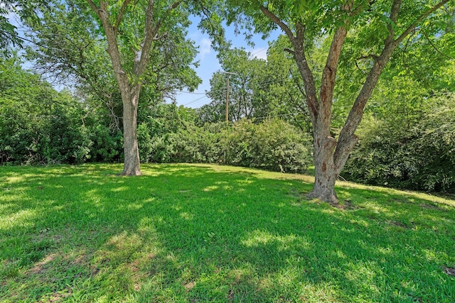 6908 Park Place Dr, Richland Hills, TX 76118 - view of green lawn