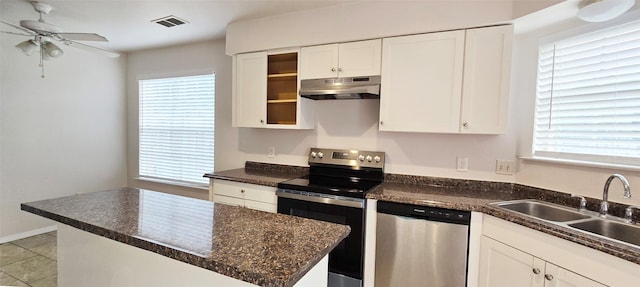 510 E Stone Cir, Wylie, TX 75098 - kitchen featuring appliances with stainless steel finishes, under cabinet range hood, ceiling fan, a sink, and white cabinetry
