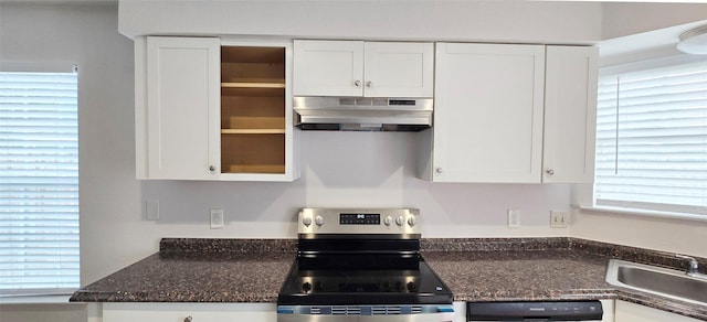 510 E Stone Cir, Wylie, TX 75098 - kitchen featuring under cabinet range hood, electric stove, a sink, white cabinets, and dishwasher