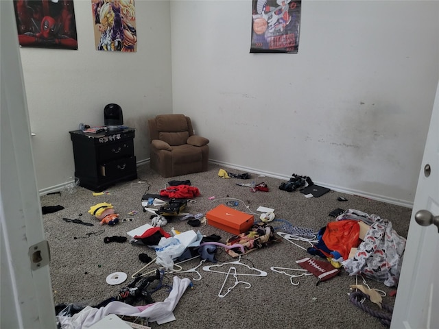 2160 Ocelot St, Crandall, TX 75114 - playroom with carpet