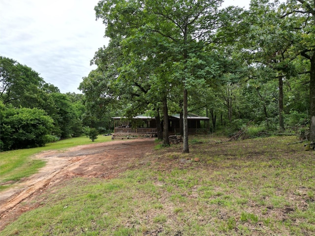 18637 Fm 17, Canton, TX 75103 - view of yard featuring a wooded view and a wooden deck
