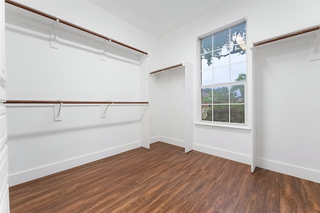 3601 Aqua Springs Dr, Plano, TX 75025 - walk in closet with dark wood finished floors