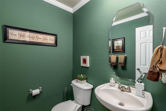910 Glenbrook Dr, Grand Prairie, TX 75052 - half bathroom with a sink, crown molding, and toilet