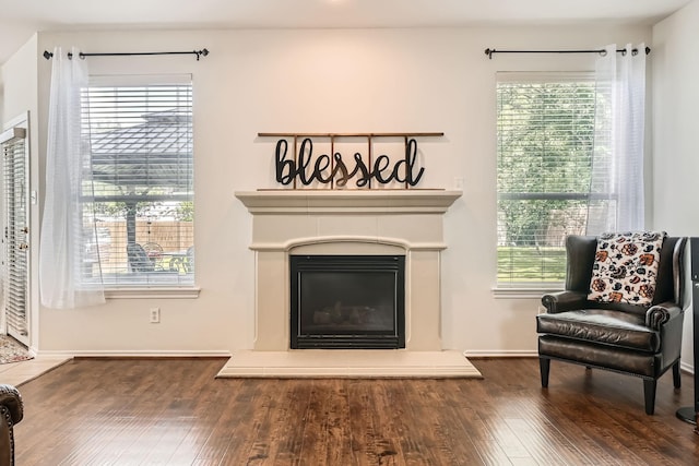 8633 Shadow Trace Dr, Fort Worth, TX 76244 - living area with a glass covered fireplace, wood finished floors, and baseboards