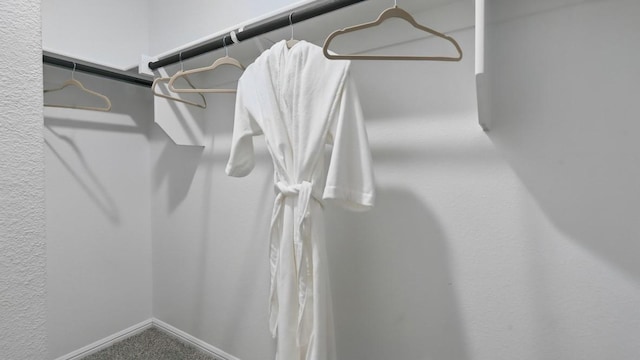 857 Cedarbrook, Fort Worth, TX 76131 - spacious closet with carpet flooring