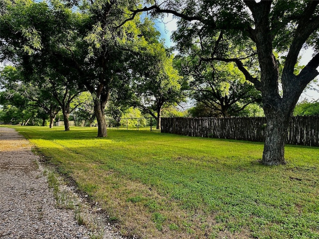 4000 Pecan Ln, Benbrook, TX 76116 - view of yard