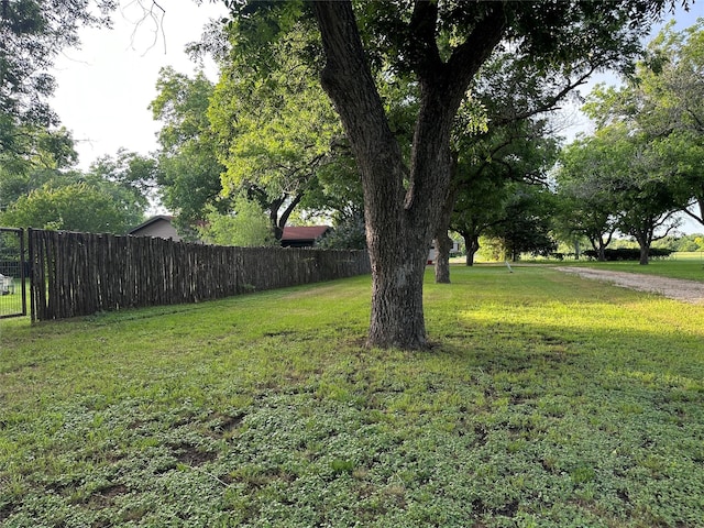 4000 Pecan Ln, Benbrook, TX 76116 - view of yard