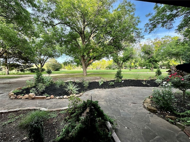 4000 Pecan Ln, Benbrook, TX 76116 - view of grassy yard