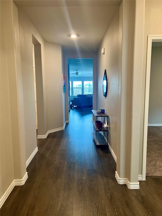 6413 Tudor Pl, Celina, TX 76227 - hall with dark wood-style flooring and baseboards