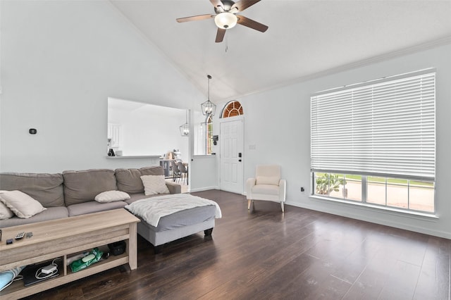 4100 Creekhollow Dr, Carrollton, TX 75010 - living area with ceiling fan, dark wood-style floors, baseboards, high vaulted ceiling, and ornamental molding