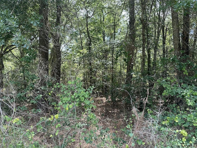 4102 Van Hwy, Tyler, TX 75704