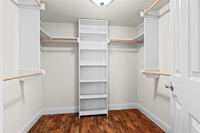 3806 Rainier St, Irving, TX 75062 - spacious closet featuring wood finished floors