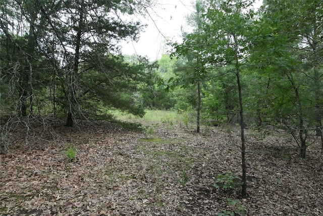 TRACT3TBD Vzcr 1507 Vzcr 1507, Grand Saline, TX 75140