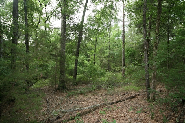 TRACT3TBD Vzcr 1507 Vzcr 1507, Grand Saline, TX 75140