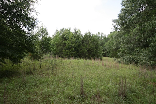 TRACT3TBD Vzcr 1507 Vzcr 1507, Grand Saline, TX 75140
