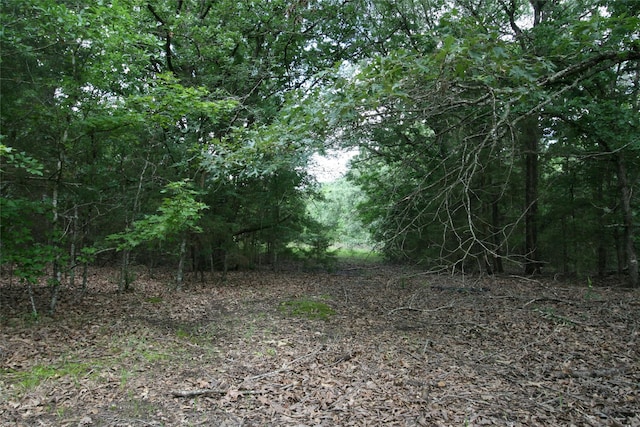 TRACT3TBD Vzcr 1507 Vzcr 1507, Grand Saline, TX 75140