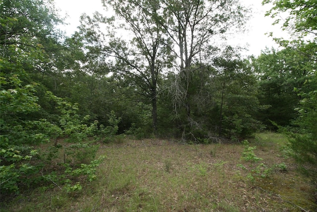 TRACT3TBD Vzcr 1507 Vzcr 1507, Grand Saline, TX 75140
