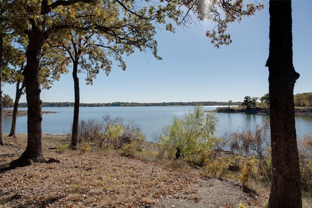 201 Barkley Dr, Hickory Creek, TX 75065 - water view
