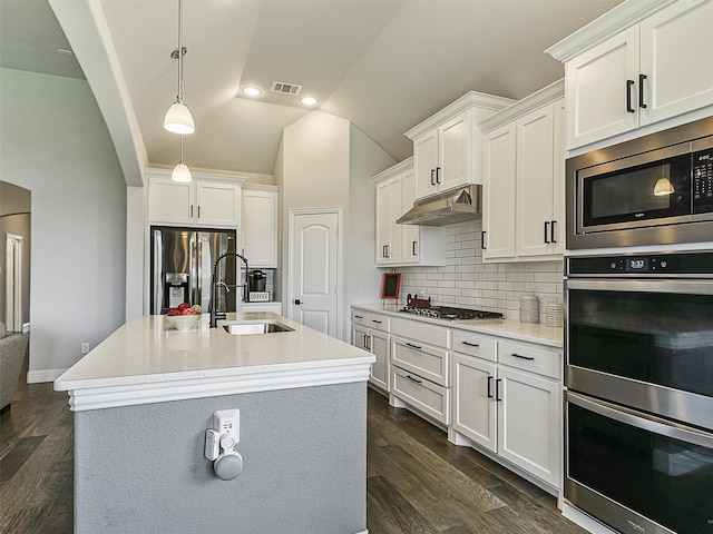 9713 Excursion Dr, Little Elm, TX 75068 - kitchen featuring a sink, appliances with stainless steel finishes, under cabinet range hood, arched walkways, and vaulted ceiling