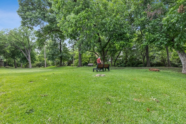 4777 Cedar Springs Rd Unit 6N, Dallas, TX 75219 - view of green lawn featuring view of wooded area