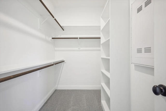 1005 Springfield Dr, Springtown, TX 76082 - spacious closet featuring carpet