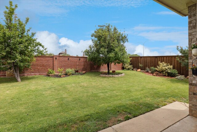 10237 Red Bluff Ln, Fort Worth, TX 76177 - view of yard