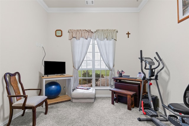 136 Spring Meadow Dr, Springtown, TX 76082 - exercise area with carpet floors, ornamental molding, and baseboards