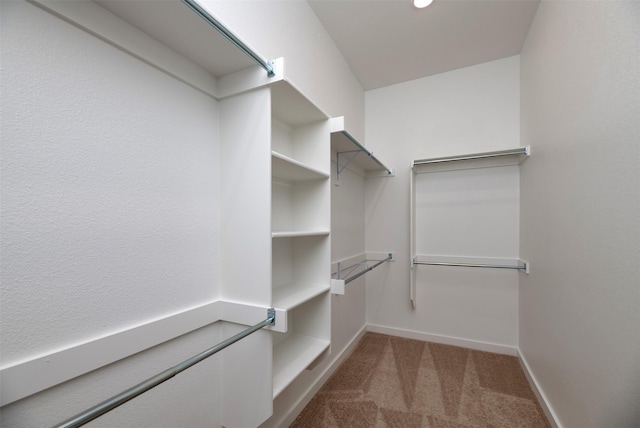 222 Goosewood Dr, Mckinney, TX 75071 - walk in closet featuring carpet