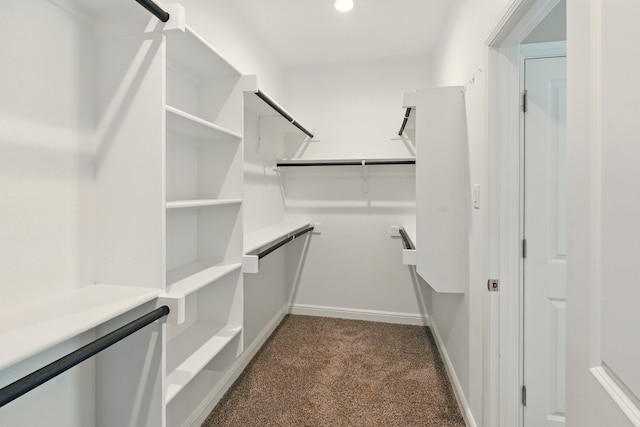 524 Big Horn Pass, Denton, TX 76210 - walk in closet featuring dark carpet