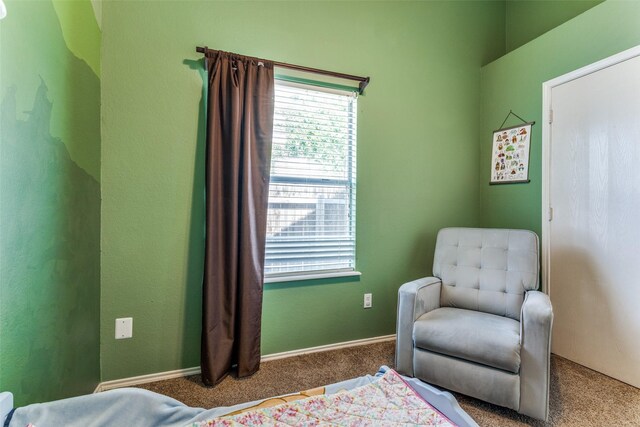 3808 River Birch Rd, Fort Worth, TX 76137 - sitting room with carpet flooring