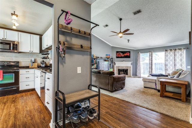 3808 River Birch Rd, Fort Worth, TX 76137 - kitchen with stainless steel appliances, a textured ceiling, dark wood finished floors, white cabinets, and a ceiling fan