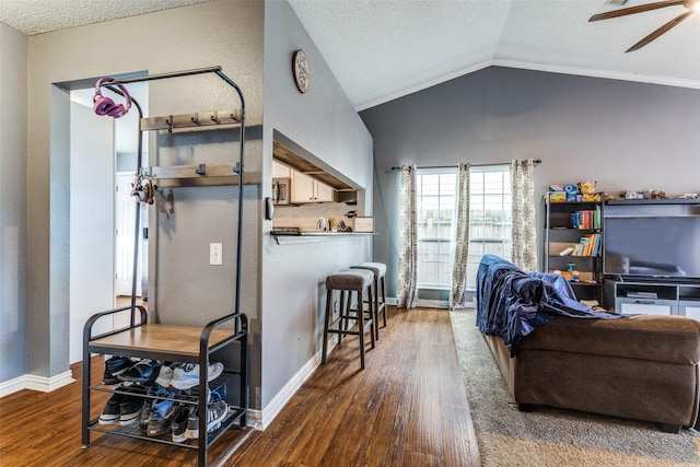 3808 River Birch Rd, Fort Worth, TX 76137 - living area with wood finished floors, ceiling fan, lofted ceiling, a textured ceiling, and baseboards